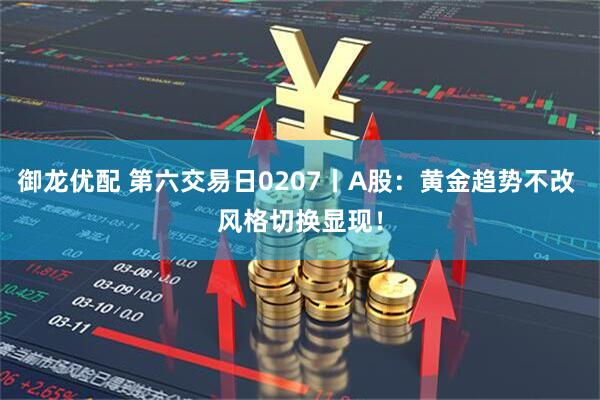 御龙优配 第六交易日0207丨A股：黄金趋势不改 风格切换显现！