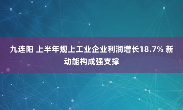 九连阳 上半年规上工业企业利润增长18.7% 新动能构成强支撑
